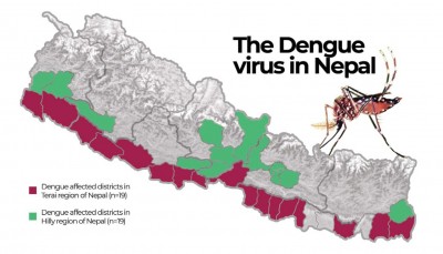 डेंगुको महामारीले ७ जनाको मृत्यु  