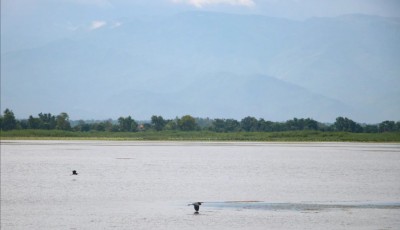 स्वर्ग ‘जगदीशपुर ताल’ चराहरूका लागि