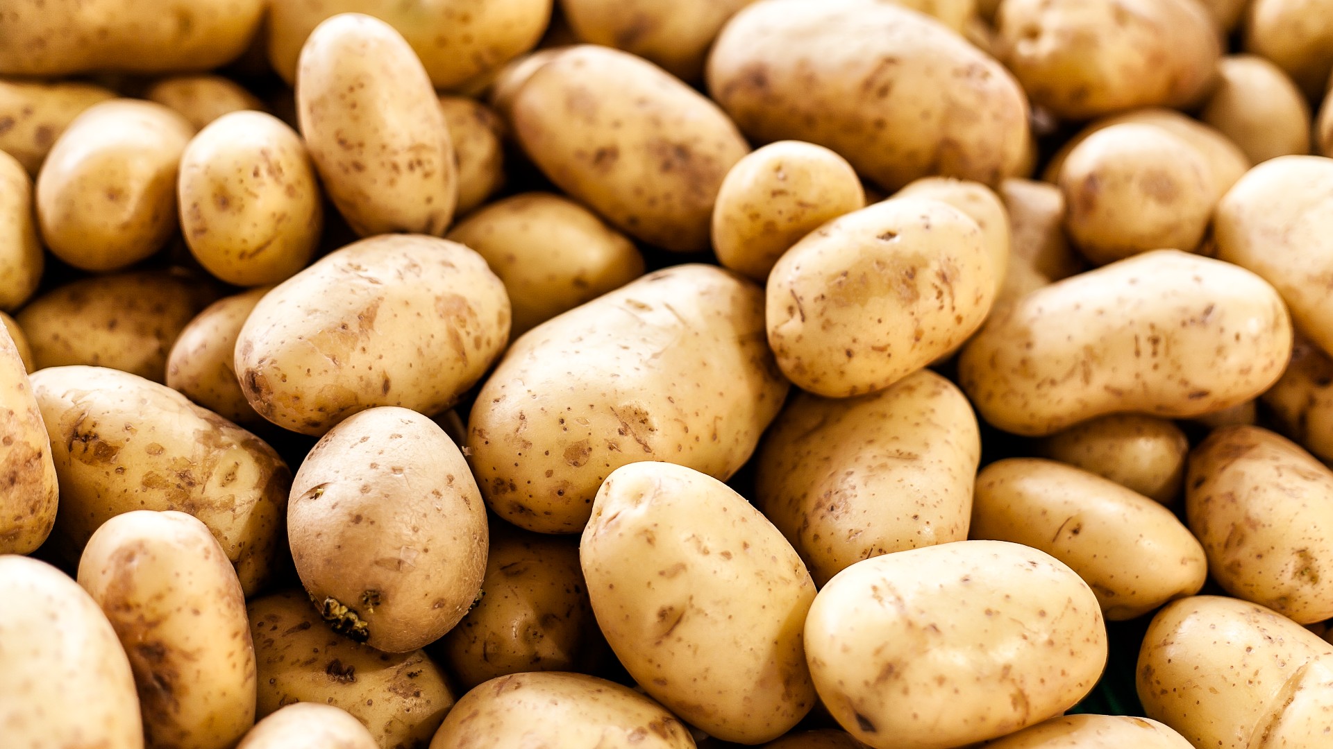 potato1701938979.jpg